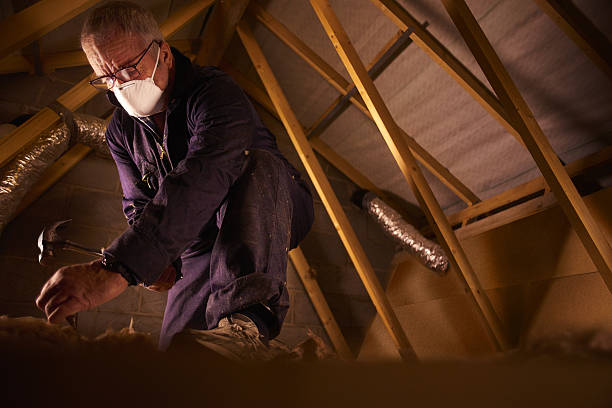 Best Soundproof Insulation Installation  in Ferndale, MI